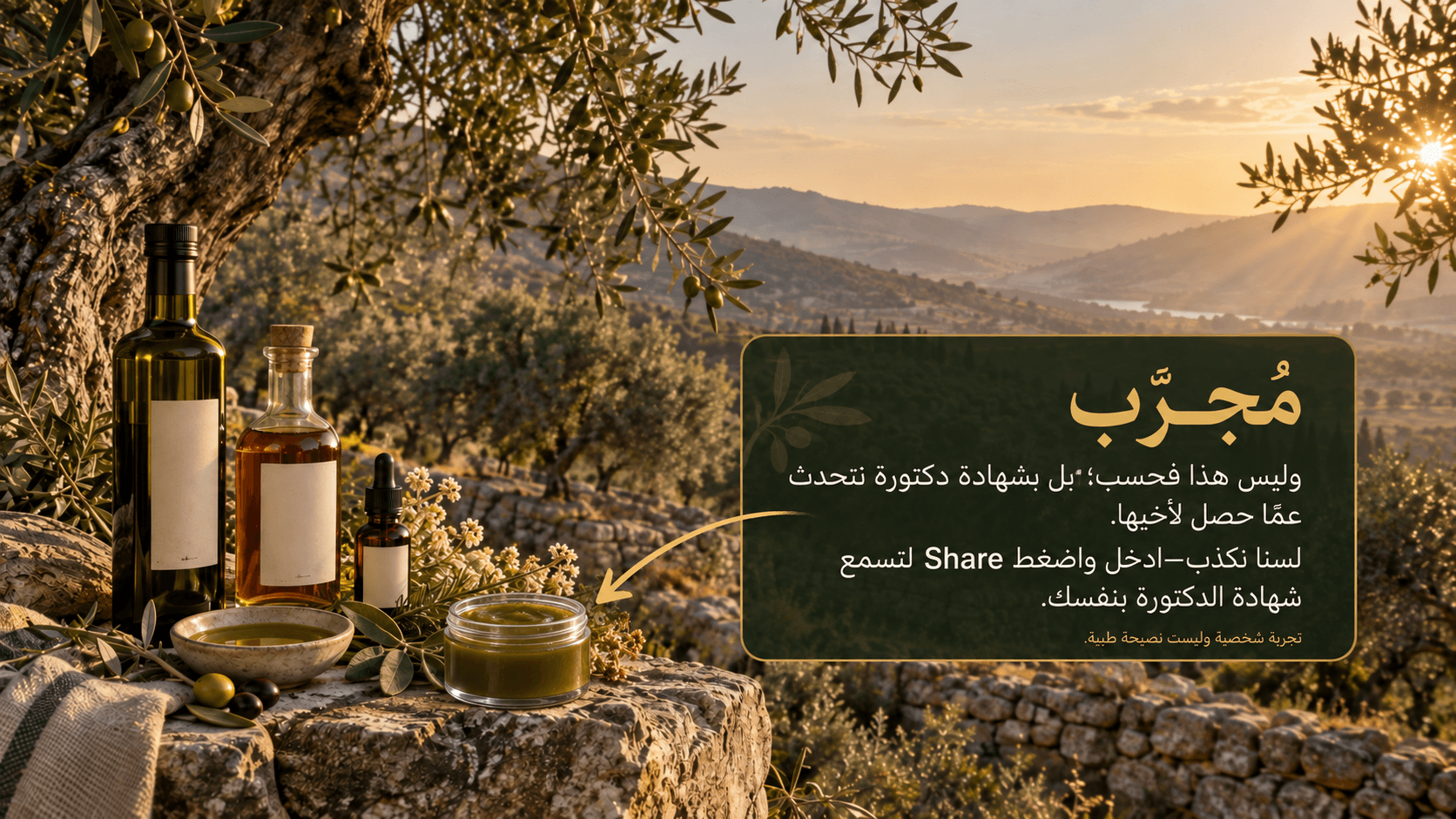 برطمان بلسم أعشاب أخضر مع زيوت وخلاصات أمام بستان زيتون